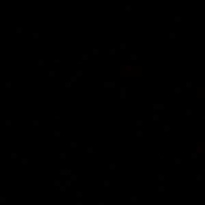 Meet your Posher, Celina